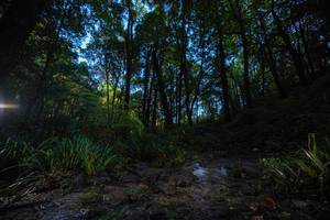 BIB: 
                            <button type="button" onclick="openModal(19231002)" class="btn btn-primary btn-sm float-right btn-popup" data-toggle="modal" data-target=".modal-high-quality">
                        <i class="fas fa-shopping-cart"></i> Add to Cart
                    </button>
                                            <button type="button" onclick="isThisMe(19231002, true)" class="btn btn-success btn-sm float-right btn-popup btn-isme hidden" data-toggle="tooltip" data-placement="bottom" title="นี่คือรูปของคุณใช่ไหม คลิกที่นี่เพื่อเอาเข้าอัลบั้ม">
                        <i class="fas fa-plus"></i> Add to album
                    </button>
                    <button type="button" onclick="isThisMe(19231002, false)" class="btn btn-warning btn-sm float-right btn-popup btn-isnotme hidden">
                        <i class="fas fa-ban"></i> Remove from album
                    </button>